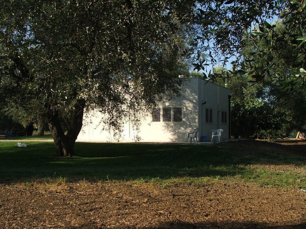 B&B Finestre Tra Gli Ulivi Mesagne Kamer foto